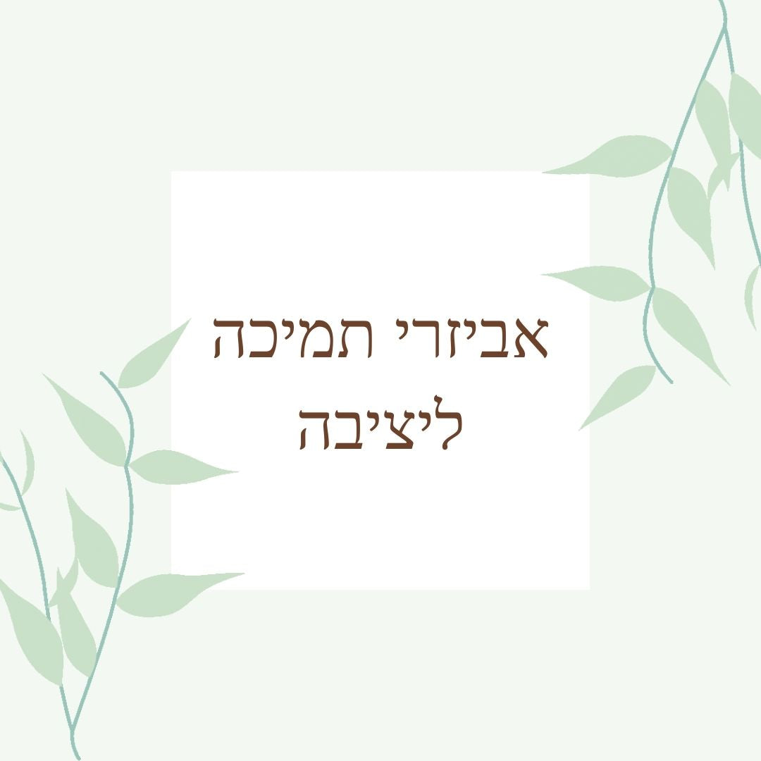 אביזרי תמיכה ליציבה
